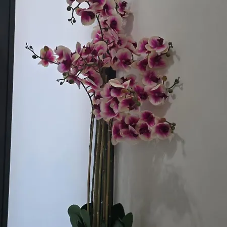 דירה Crociferi Di Agata E Aurora קטאניה